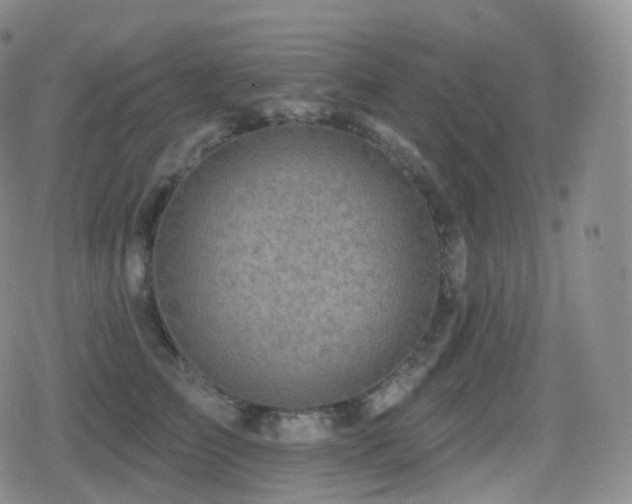 X0000080720709200612151159