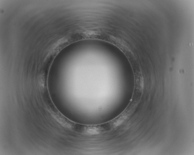 X0000080720710200612151159