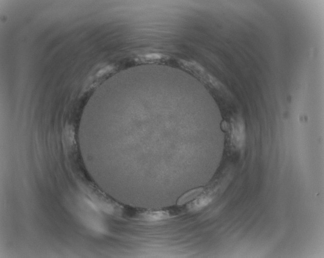 X0000080720711200612151159