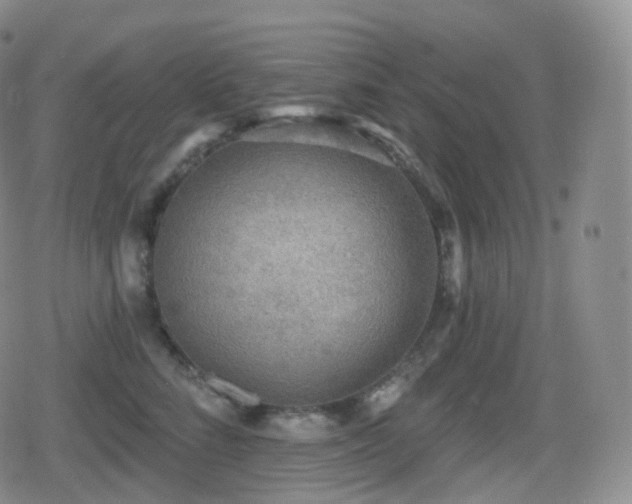 X0000080720712200612151159