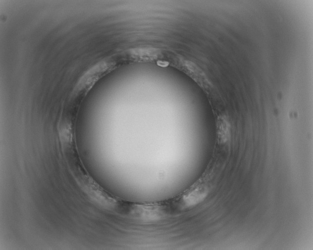 X0000080720713200612151159