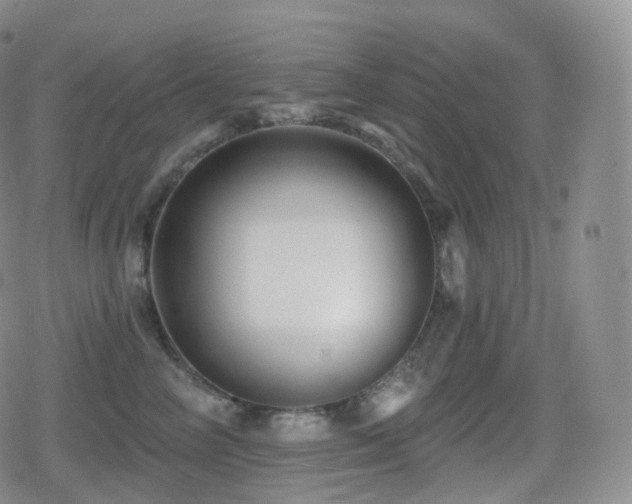 X0000080720714200612151159