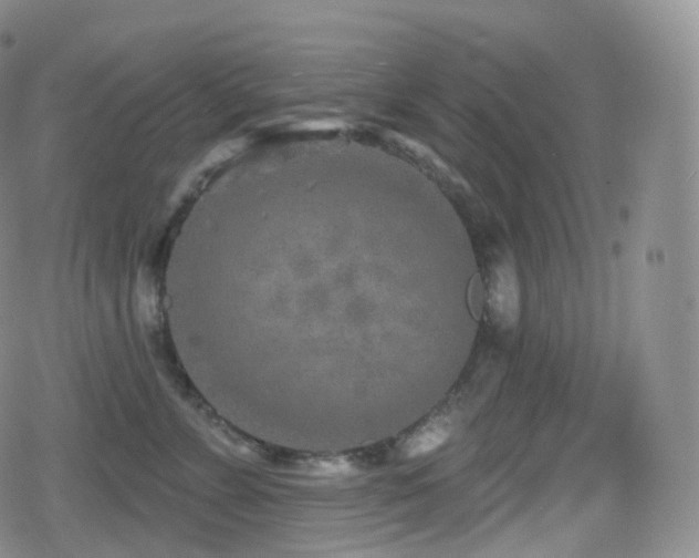 X0000080720715200612151159