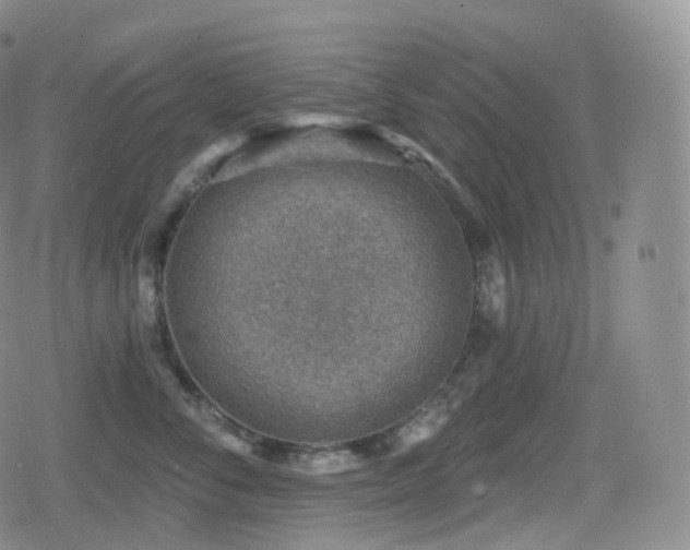 X0000080720716200612151159