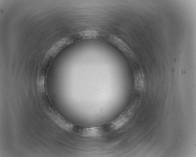 X0000080720717200612151159