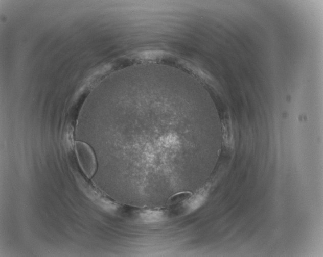 X0000080720718200612151159