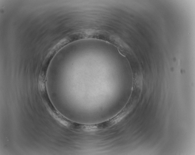 X0000080720719200612151159