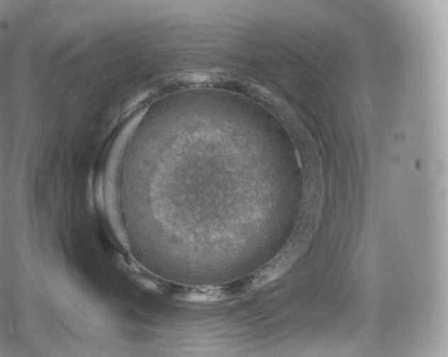 X0000080720720200612151159