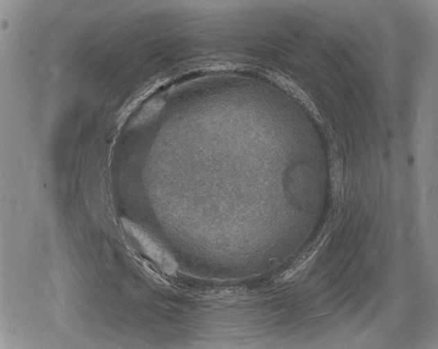 X0000080720721200612151158