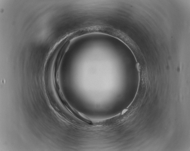 X0000080720722200612151158