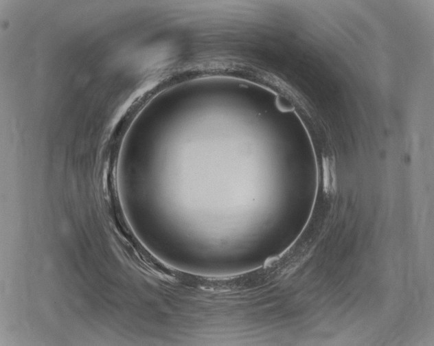 X0000080720723200612151158