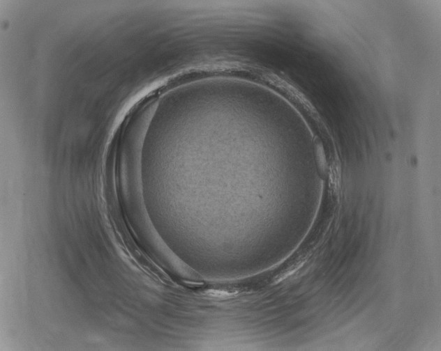 X0000080720724200612151158