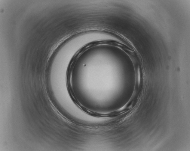 X0000080720725200612151158