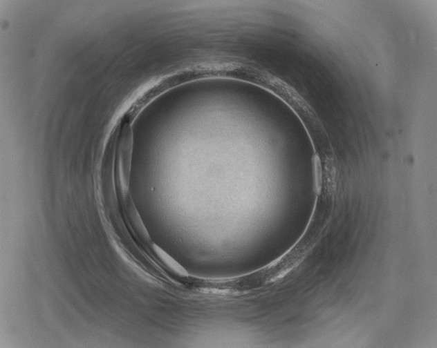 X0000080720726200612151158