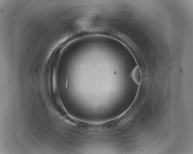 X0000080720727200612151158