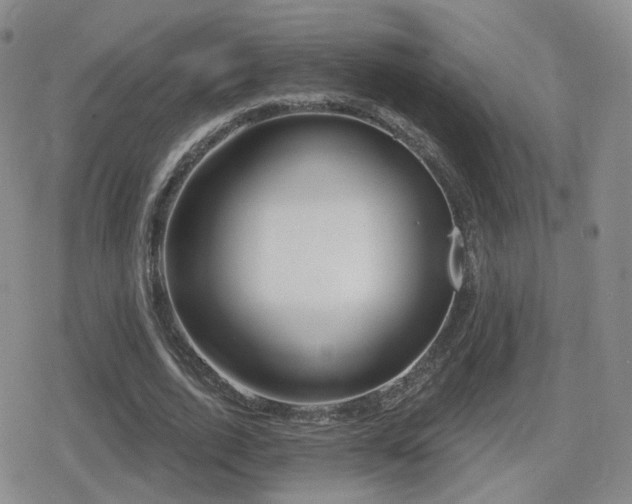 X0000080720728200612151158