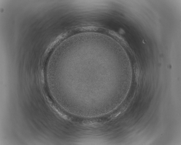 X0000080720729200612151158