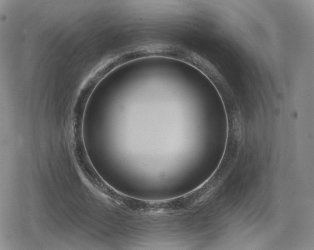 X0000080720730200612151158