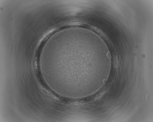 X0000080720731200612151158