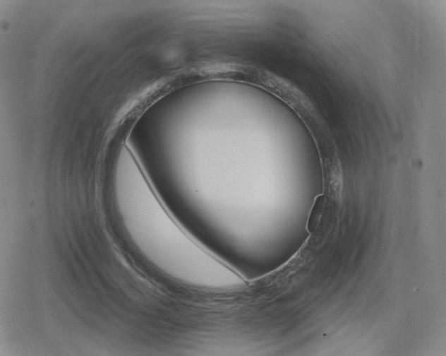 X0000080720732200612151158