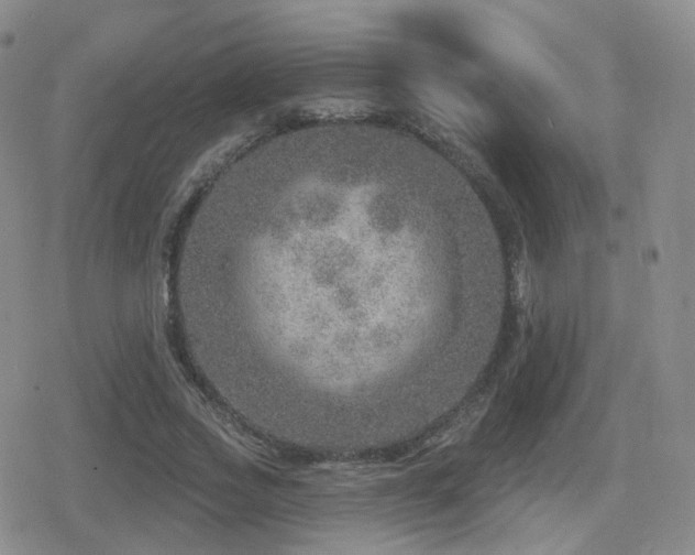 X0000080720733200612151158