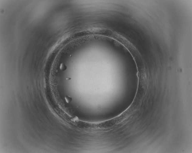 X0000080720734200612151158