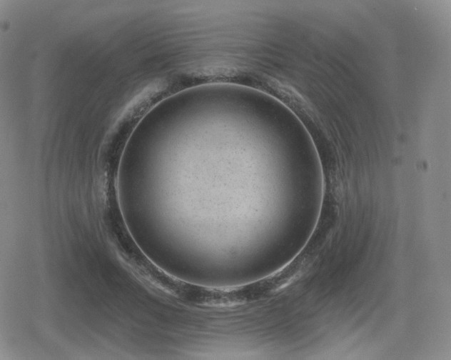 X0000080720735200612151158