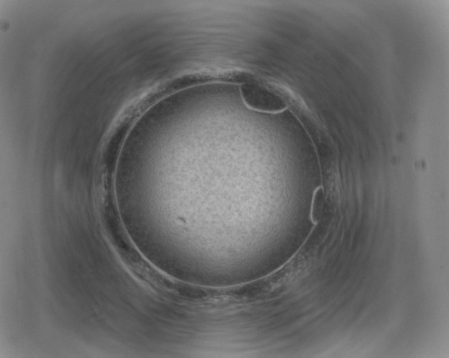 X0000080720736200612151158