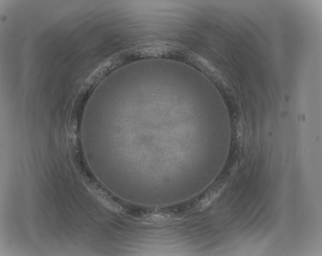 X0000080720737200612151158