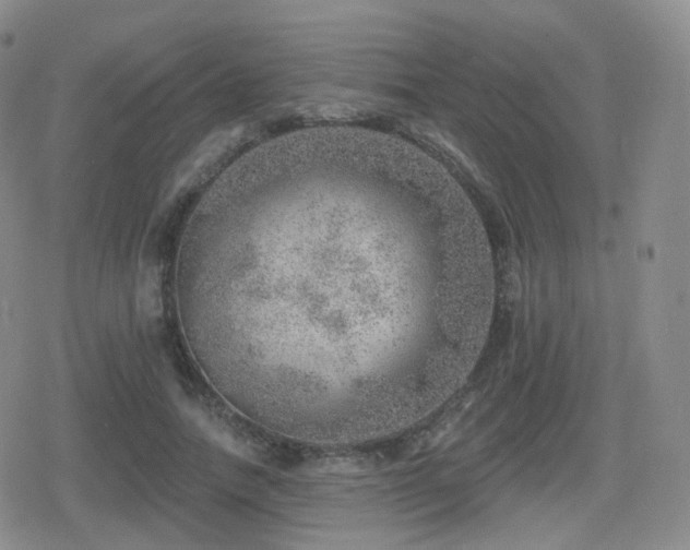 X0000080720738200612151158