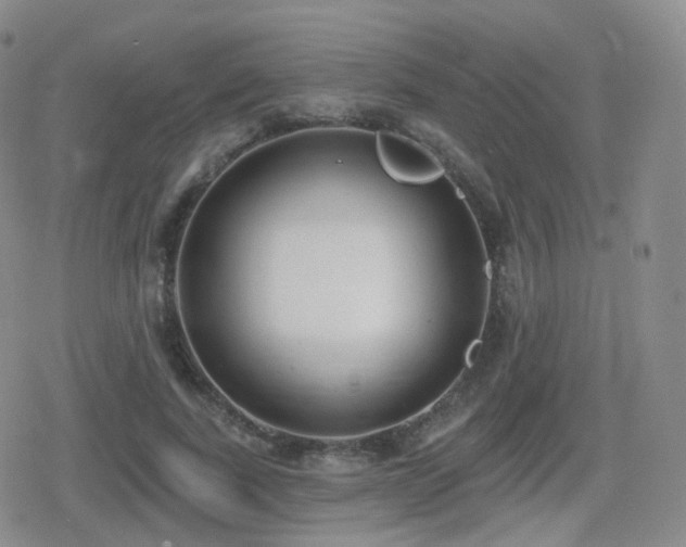 X0000080720739200612151158