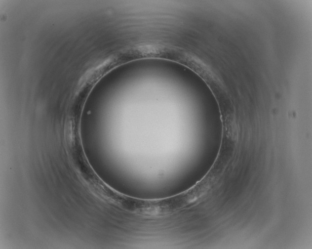 X0000080720740200612151158