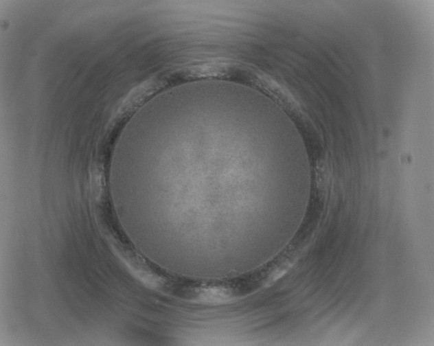 X0000080720741200612151158