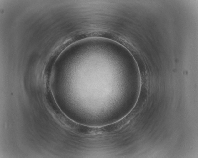 X0000080720742200612151158