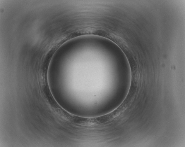 X0000080720743200612151158