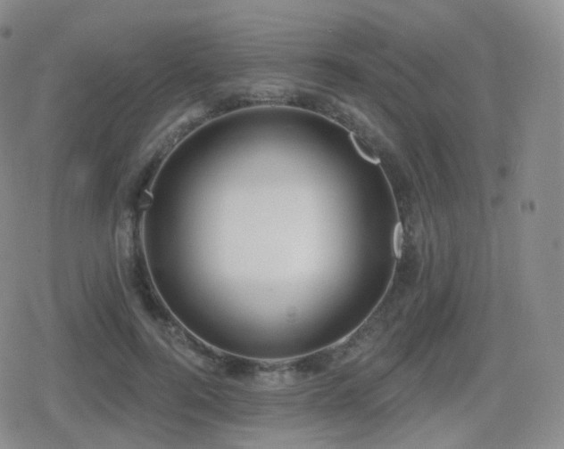 X0000080720744200612151158