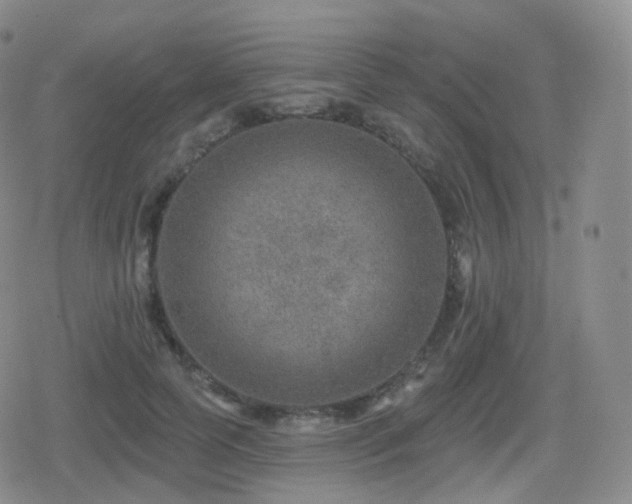 X0000080720745200612151158