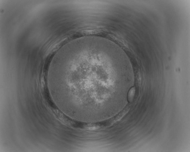 X0000080720746200612151158