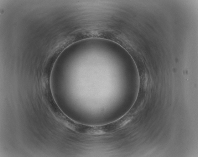 X0000080720747200612151158