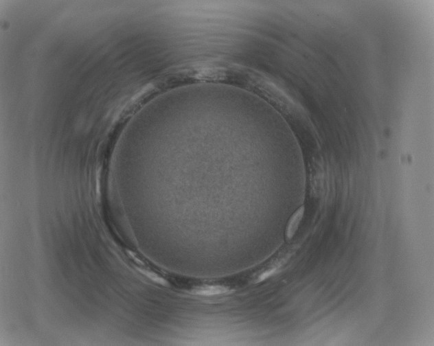 X0000080720748200612151158