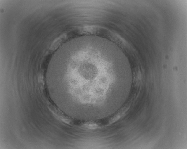 X0000080720749200612151158