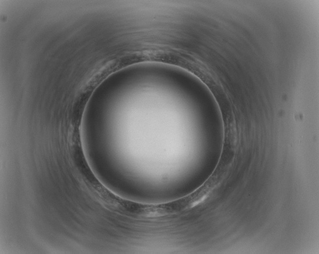 X0000080720750200612151158