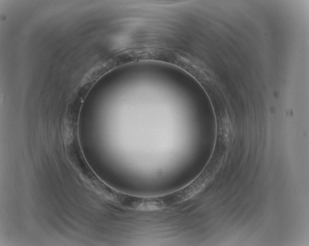 X0000080720751200612151158