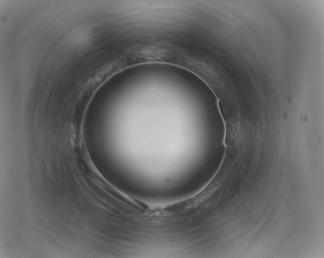 X0000080720752200612151158