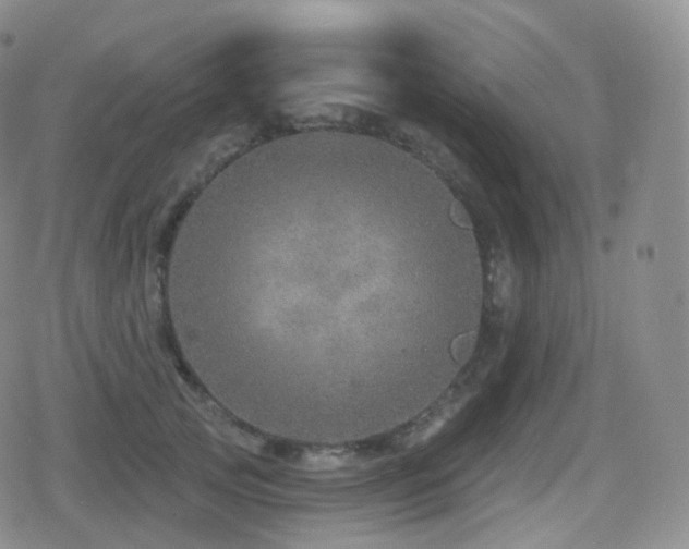 X0000080720753200612151158