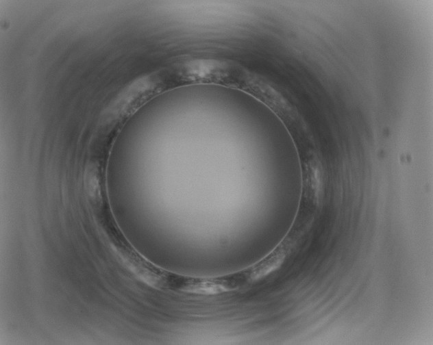 X0000080720754200612151158