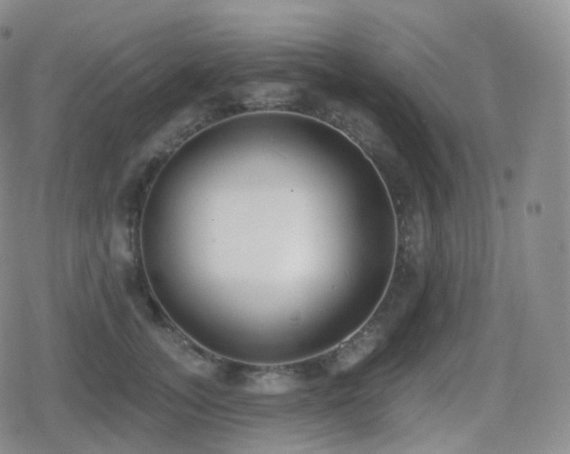 X0000080720755200612151158