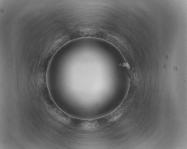 X0000080720756200612151158