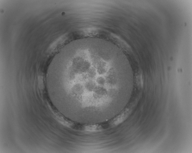 X0000080720757200612151158