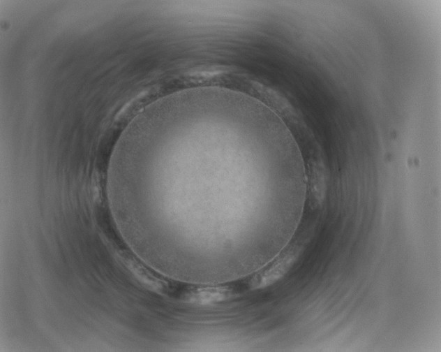 X0000080720758200612151158